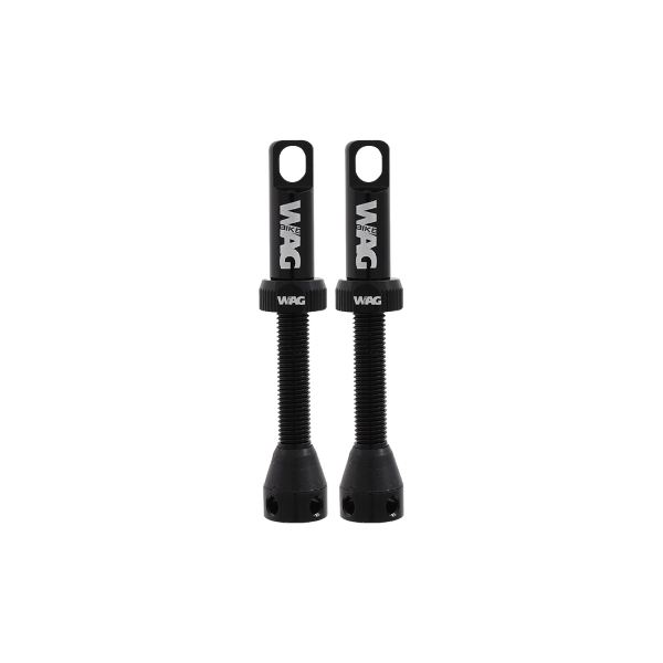 Válvula tubeless de aleación par