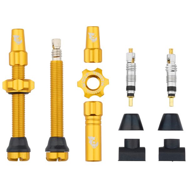 Par de VÁLVULAS TUBELESS compatibles con inserts para neumáticos