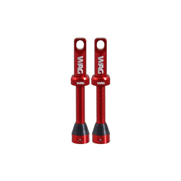 Válvula tubeless de aleación par