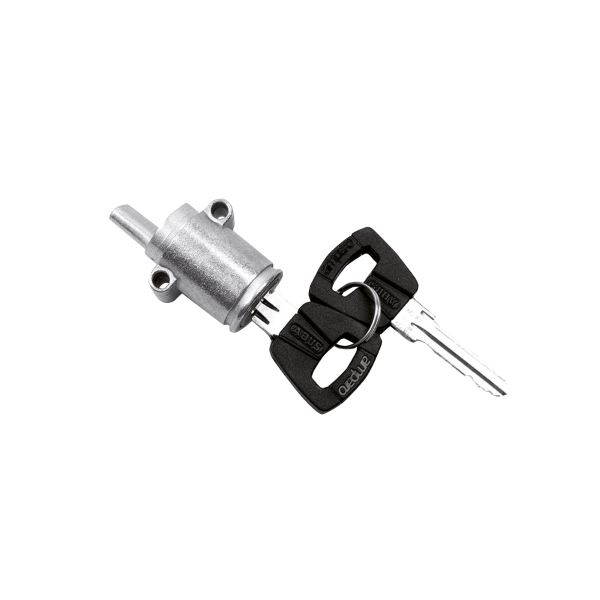 [546169131] Cilindro de cerradura estándar para batería BOSCH PowerTube BDU2XX, BDU3XX, BDU4XX - BES 2