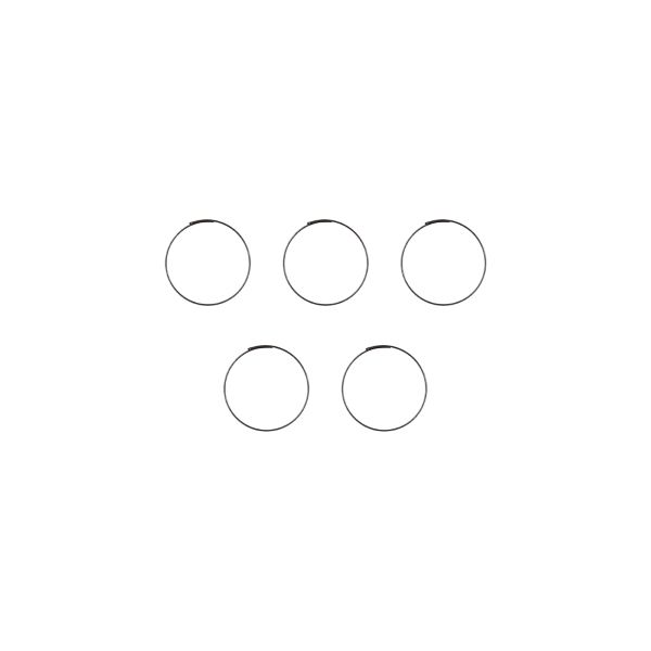 [525045159] Resorte para cuerpo de rueda libre con cremallera de 33 mm 5-RM0-005 (5 piezas)