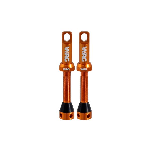 Válvula tubeless de aleación par