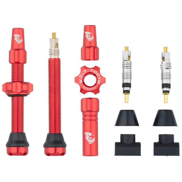 Par de VÁLVULAS TUBELESS compatibles con inserts para neumáticos