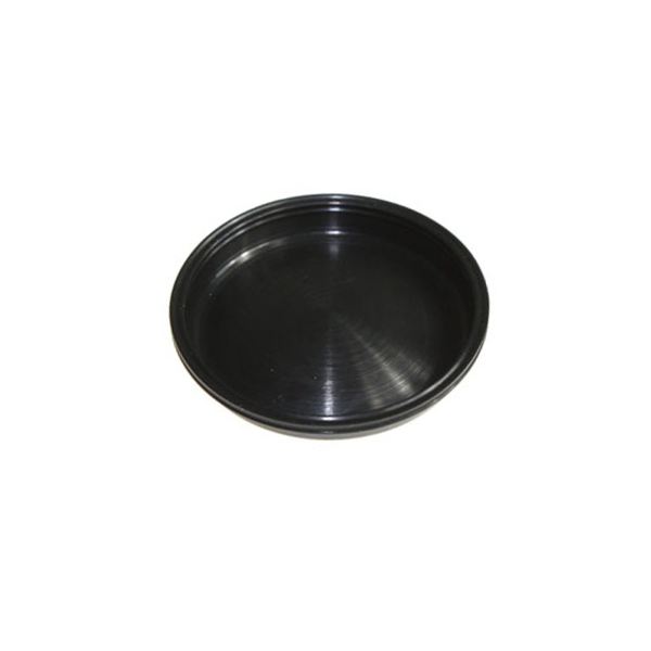 [421649032] BLADDER