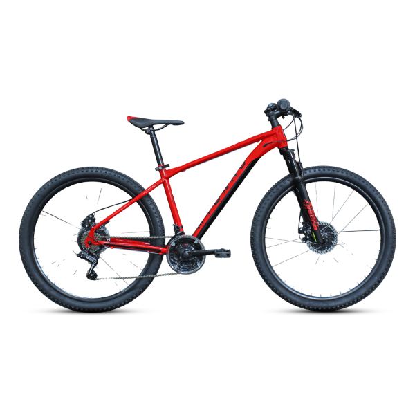 [B40295002] ALTURA 29