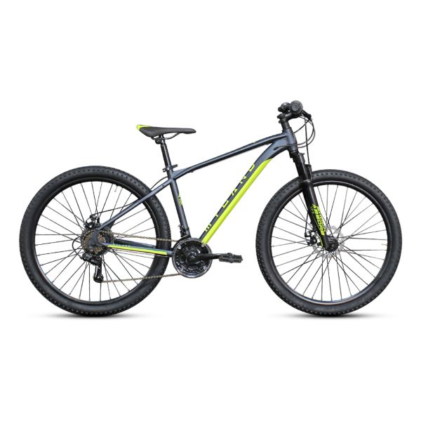 [B40295005] ALTURA 29