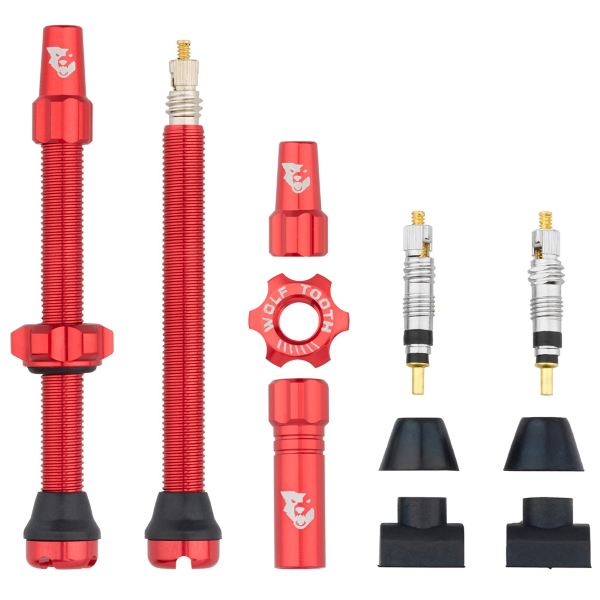 Par de VÁLVULAS TUBELESS compatibles con insertos de neumáticos